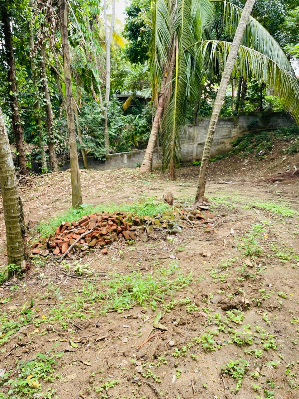 15 perch land for sale in kundasale nattarampotta kandy